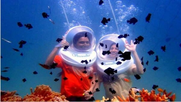 andaman_pkg_4-copy